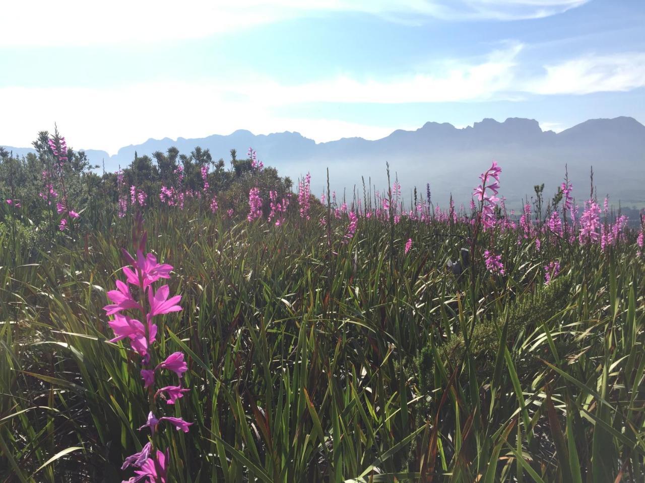 Lalapanzi Lodge Somerset West Buitenkant foto